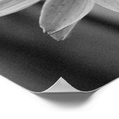 Butterfly sluiten poster (Hoek)