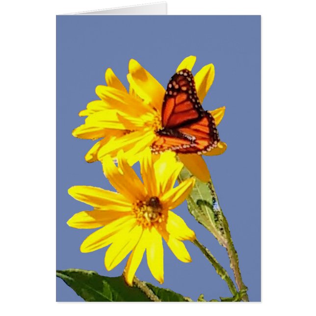 Butterfly Smile (Voorkant)