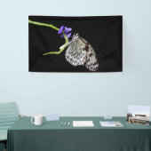 Butterfly Spandoek (Beurs)