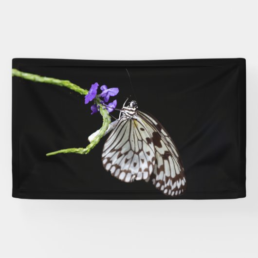 Butterfly Spandoek (Horizontaal)