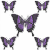 Butterfly Sticker (Voorkant)