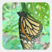 Butterfly Sticker (Voorkant)