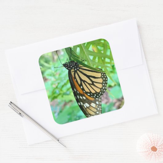 Butterfly Sticker (Envelop)