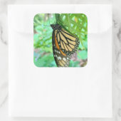 Butterfly Sticker (Tas)