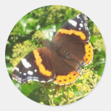 Butterfly Sticker, Sticker