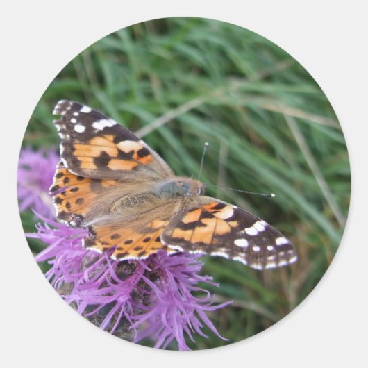 Butterfly-stickers Ronde Sticker (Voorkant)