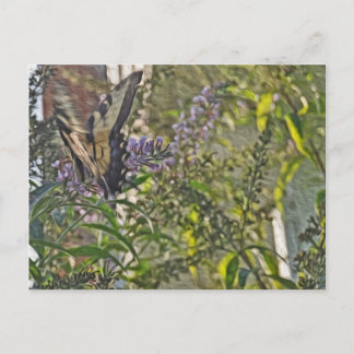 Butterfly Struik 2 Briefkaart