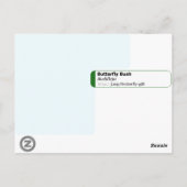 Butterfly Struik Buddleja Davidii Floral Briefkaart (Achterkant)