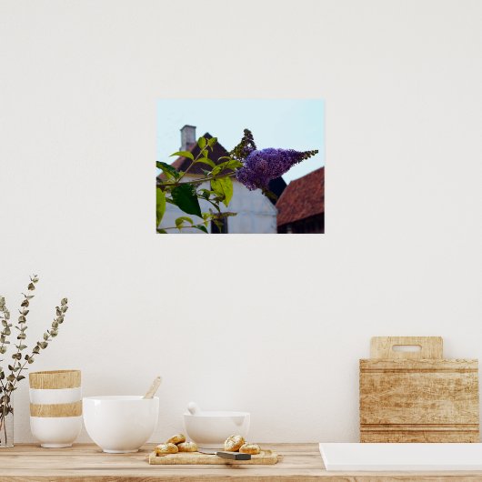 Butterfly Struik, Old Danish Town, Aarhus, Denemar Poster (Keuken)