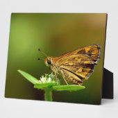 Butterfly Tamil Grass Dart met Bokeh Background Fotoplaat (Zijkant)