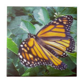 Butterfly Tegeltje (Voorkant)