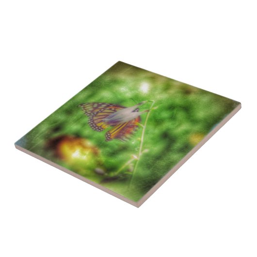 Butterfly Tegeltje (Zijkant)