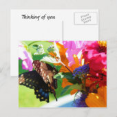 Butterfly - Thinking of You Briefkaart (Voorkant / Achterkant)