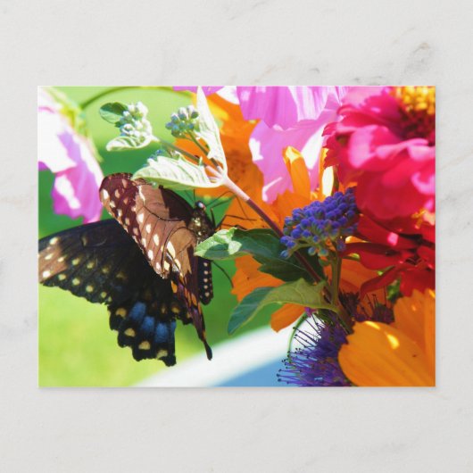 Butterfly - Thinking of You Briefkaart (Voorkant)