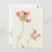 Butterfly Tulip van Margaret Armstrong Briefkaart (Voorkant / Achterkant)