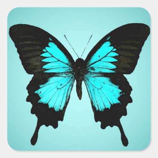 Butterfly - turquoise blauw en zwart vierkante sticker (Voorkant)