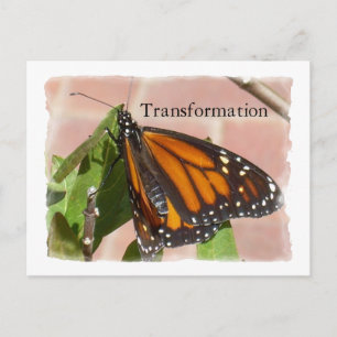 Butterfly van transformatie briefkaart