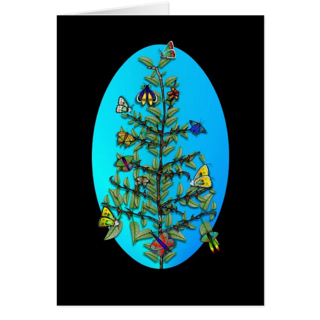 BUTTERFLY VARIETY (Voorkant)