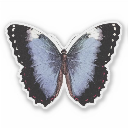  butterfly vinylSticker Sticker (Voorkant)