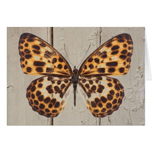 Butterfly w/Leopard Spots on Wood Background Card (Voorkant Horizontaal)