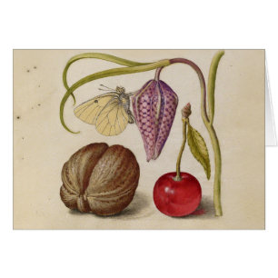 Butterfly Walnut Flower Cherry Waterverf Art