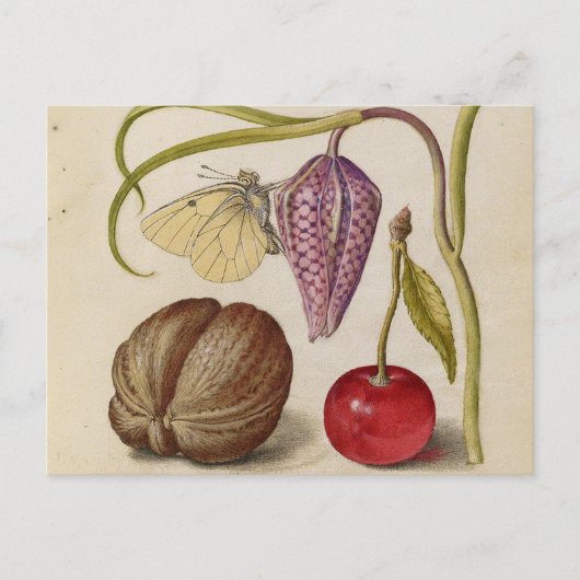 Butterfly Walnut Flower Cherry Waterverf Art Briefkaart (Voorkant)