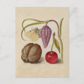 Butterfly Walnut Flower Cherry Waterverf Art Briefkaart (Voorkant)
