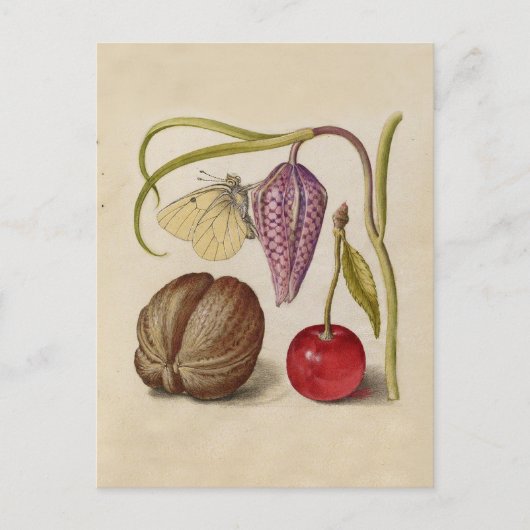 Butterfly Walnut Flower Cherry Waterverf Art Briefkaart (Voorkant)