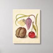 Butterfly Walnut Flower Cherry Waterverf Art Canvas Afdruk (Voorkant)