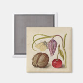 Butterfly Walnut Flower Cherry Waterverf Art Magneet (Voorkant / Achterkant)