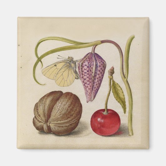 Butterfly Walnut Flower Cherry Waterverf Art Magneet (Voorkant)