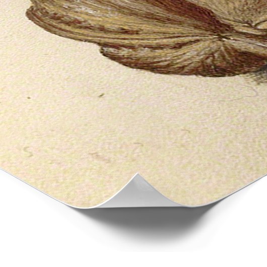 Butterfly Walnut Flower Cherry Waterverf Art Poster (Hoek)