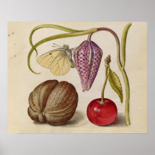 Butterfly Walnut Flower Cherry Waterverf Art Poster