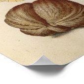 Butterfly Walnut Flower Cherry Waterverf Art Poster (Hoek)