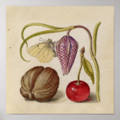 Butterfly Walnut Flower Cherry Waterverf Art Poster (Voorkant)