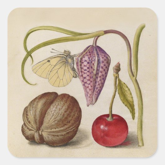 Butterfly Walnut Flower Cherry Waterverf Art Vierkante Sticker (Voorkant)