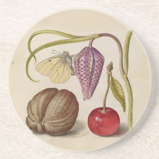 Butterfly Walnut Flower Cherry Waterverf Art Zandsteen Onderzetter (Voorkant)