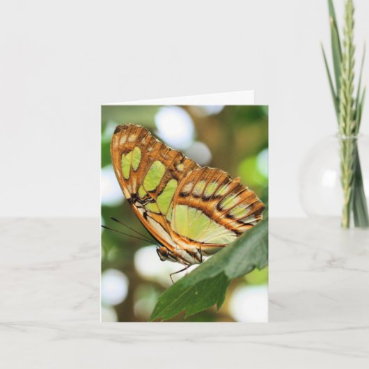 Butterfly Watching Nature Photography Note Kaart (Voorkant)