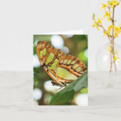 Butterfly Watching Nature Photography Note Kaart (Gele Bloem)