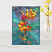 "Butterfly weed" Kaart (Gele Bloem)