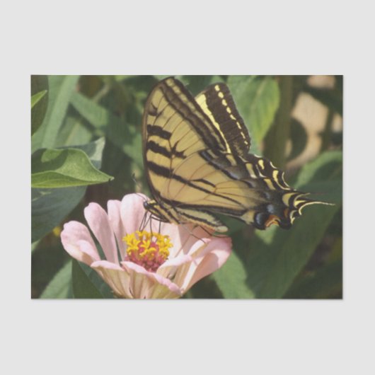 Butterfly-weefselpapier Tissuepapier (Voorkant)