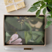 Butterfly-weefselpapier Tissuepapier (Geschenk)