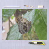 Butterfly-weefselpapier Tissuepapier (Craft)