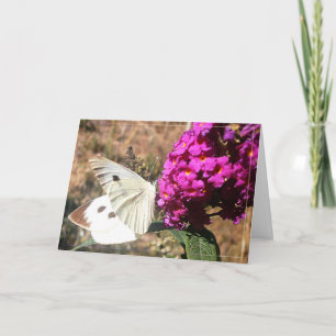 Butterfly. Wenskaart. Kaart