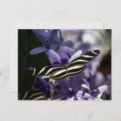 BUTTERFLY WILD LIFE INSECT POSTCROSSING BRIEFKAART (Voorkant / Achterkant)
