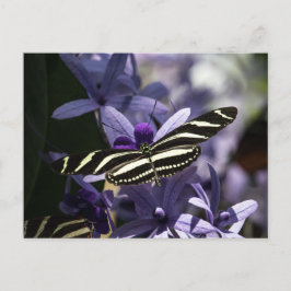 BUTTERFLY WILD LIFE INSECT POSTCROSSING BRIEFKAART