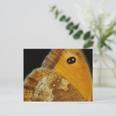 Butterfly Wing-Briefkaart Feestdagenkaart (Staand voorkant)