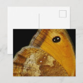 Butterfly Wing-Briefkaart Feestdagenkaart (Voorkant / Achterkant)