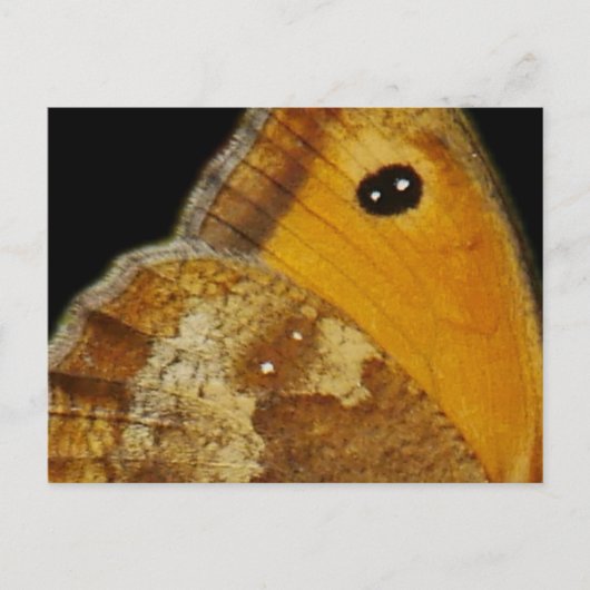 Butterfly Wing-Briefkaart Feestdagenkaart (Voorkant)
