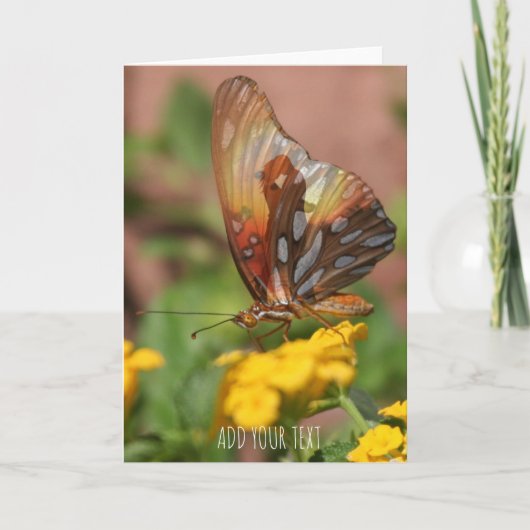 Butterfly Wings - Butterfly Love Feestdagen Kaart (Voorkant)